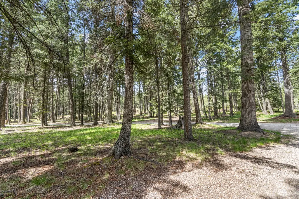 13034 Red Owl Trail Bigfork MT 59911