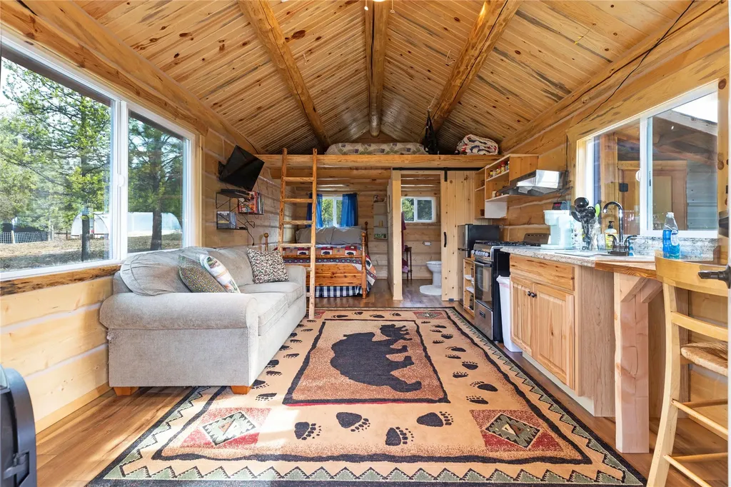 17 Mountain View Road Trout Creek MT 59874