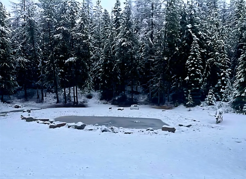 4176 Mount Highway 200 Trout Creek MT 59874