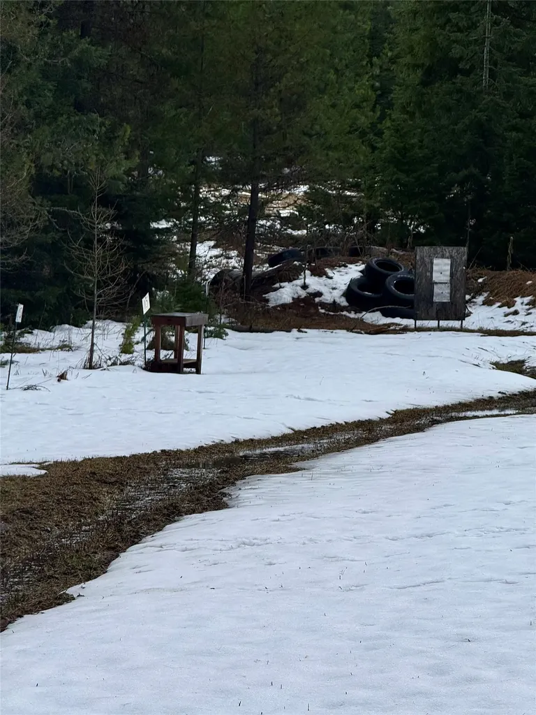 4176 Mount Highway 200 Trout Creek MT 59874