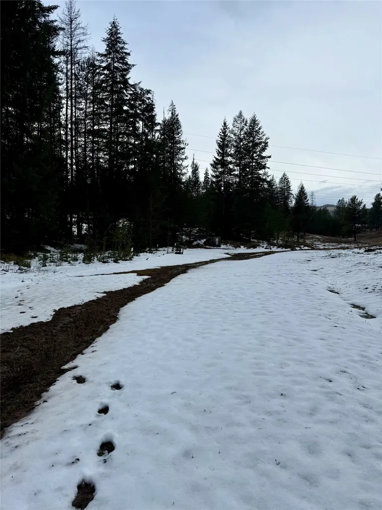 4176 Mount Highway 200 Trout Creek MT 59874