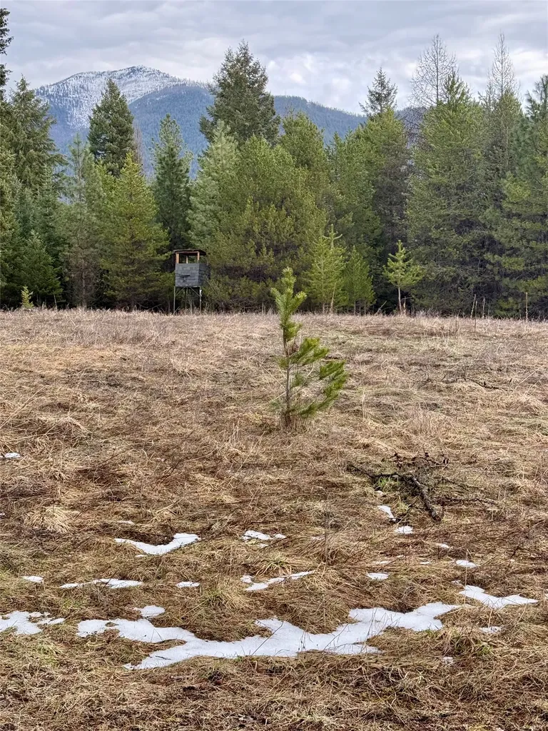 4176 Mount Highway 200 Trout Creek MT 59874