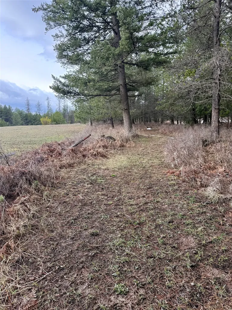 4176 Mount Highway 200 Trout Creek MT 59874