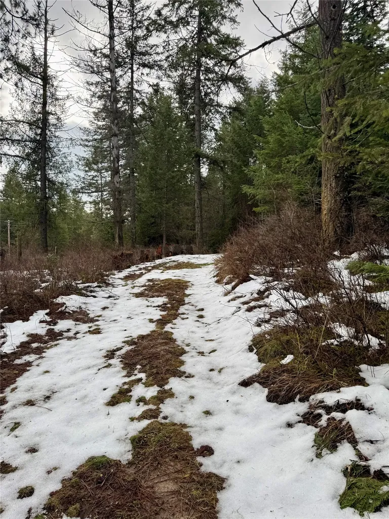 4176 Mount Highway 200 Trout Creek MT 59874