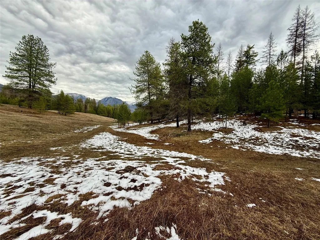 4176 Mount Highway 200 Trout Creek MT 59874