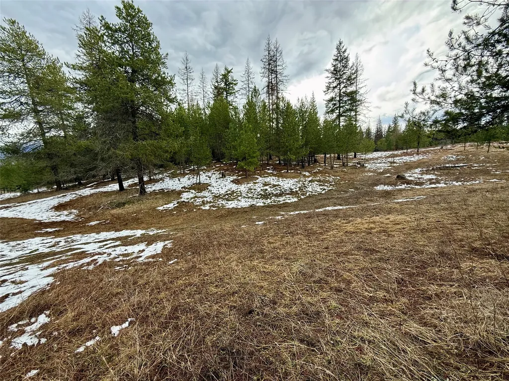 4176 Mount Highway 200 Trout Creek MT 59874