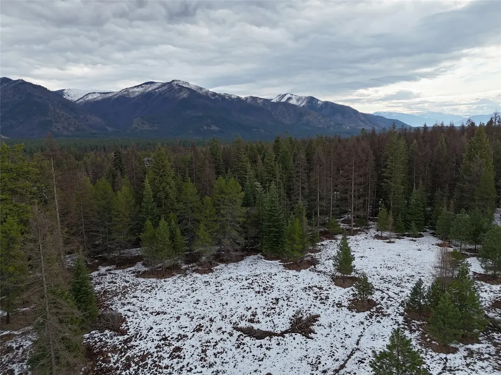4176 Mount Highway 200 Trout Creek MT 59874