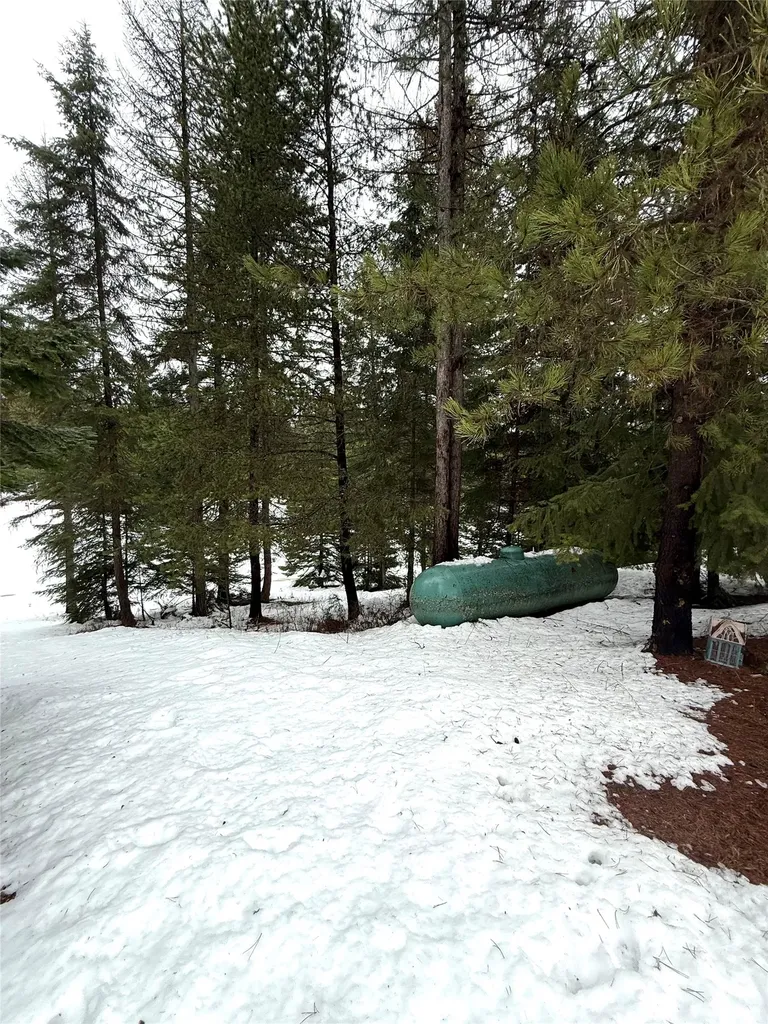 4176 Mount Highway 200 Trout Creek MT 59874