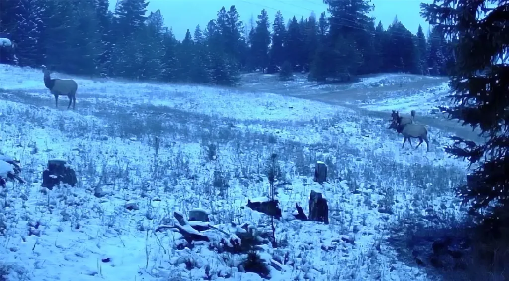 4176 Mount Highway 200 Trout Creek MT 59874