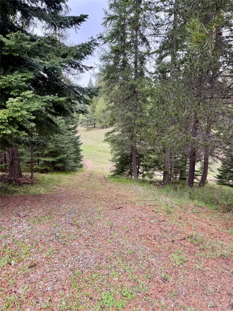 4176 Mount Highway 200 Trout Creek MT 59874