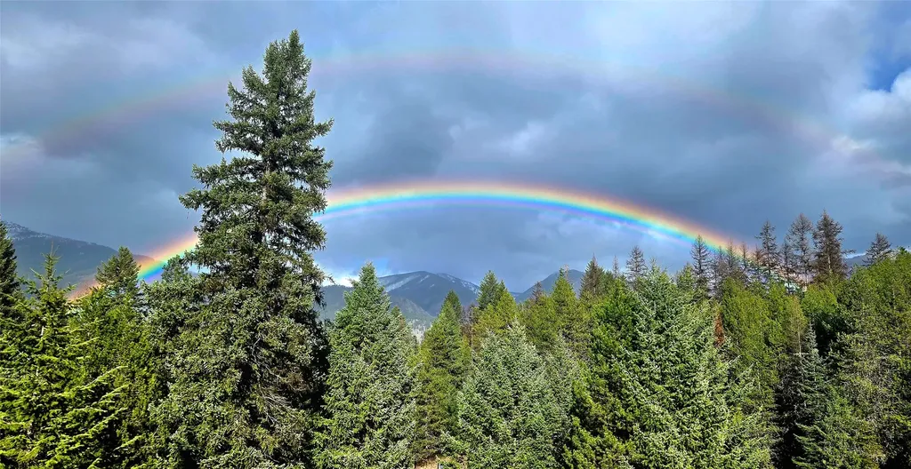 4176 Mount Highway 200 Trout Creek MT 59874