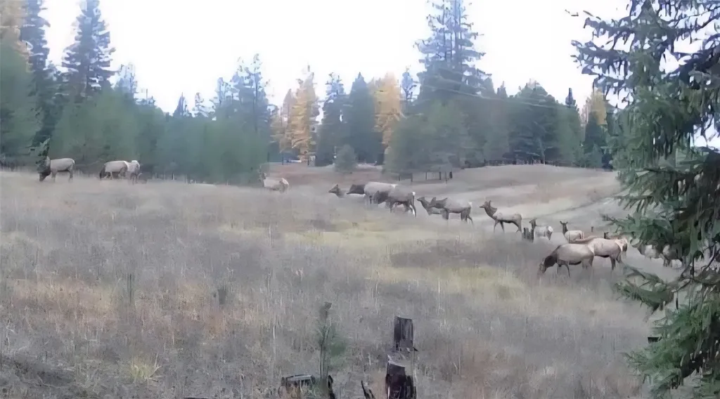 4176 Mount Highway 200 Trout Creek MT 59874