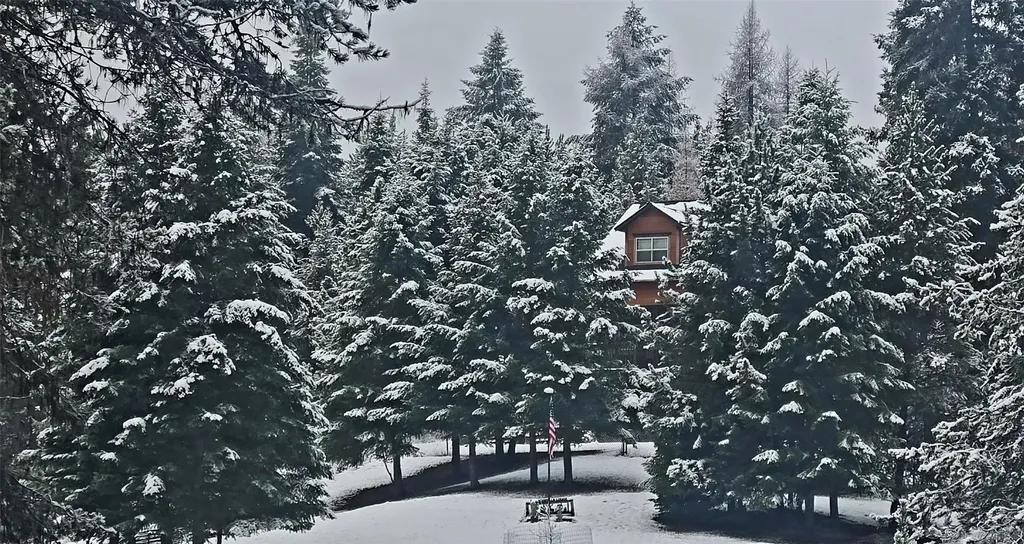 4176 Mount Highway 200 Trout Creek MT 59874