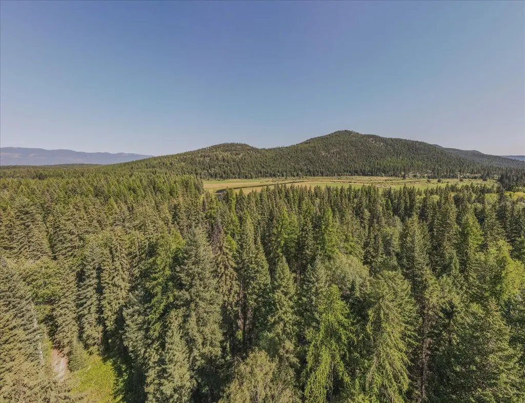 1455 Old Tally Lake Road Whitefish MT 59937