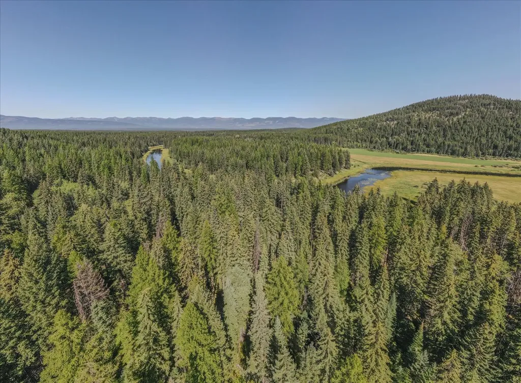 1455 Old Tally Lake Road Whitefish MT 59937