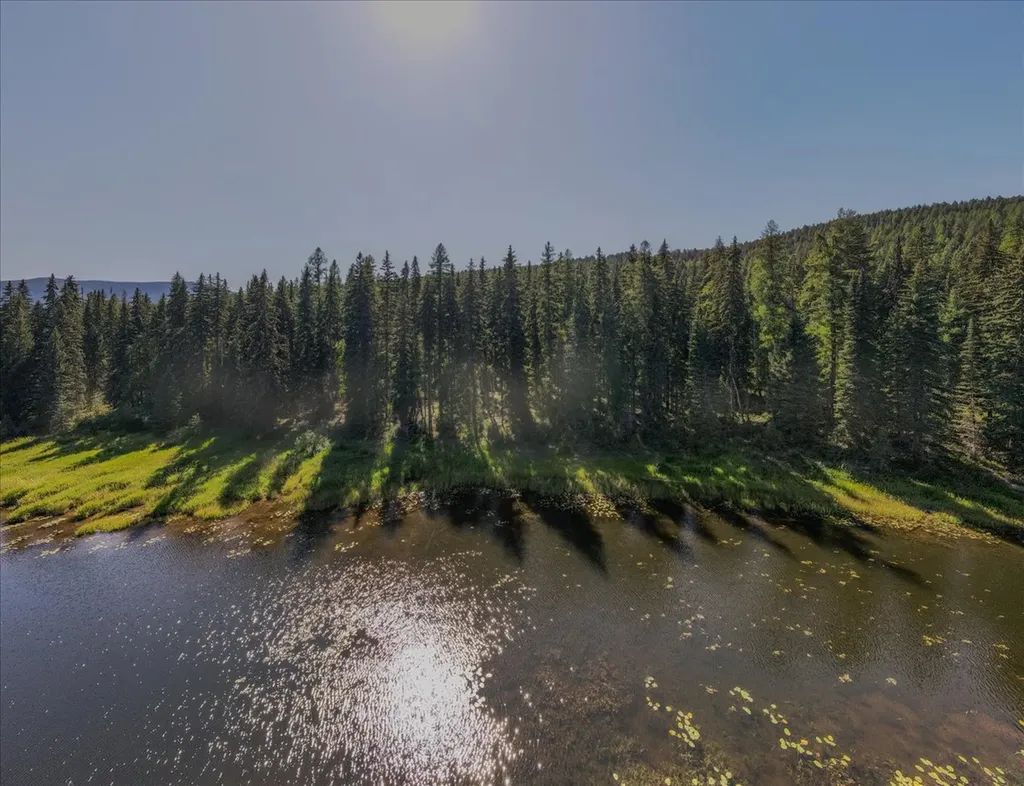 1455 Old Tally Lake Road Whitefish MT 59937