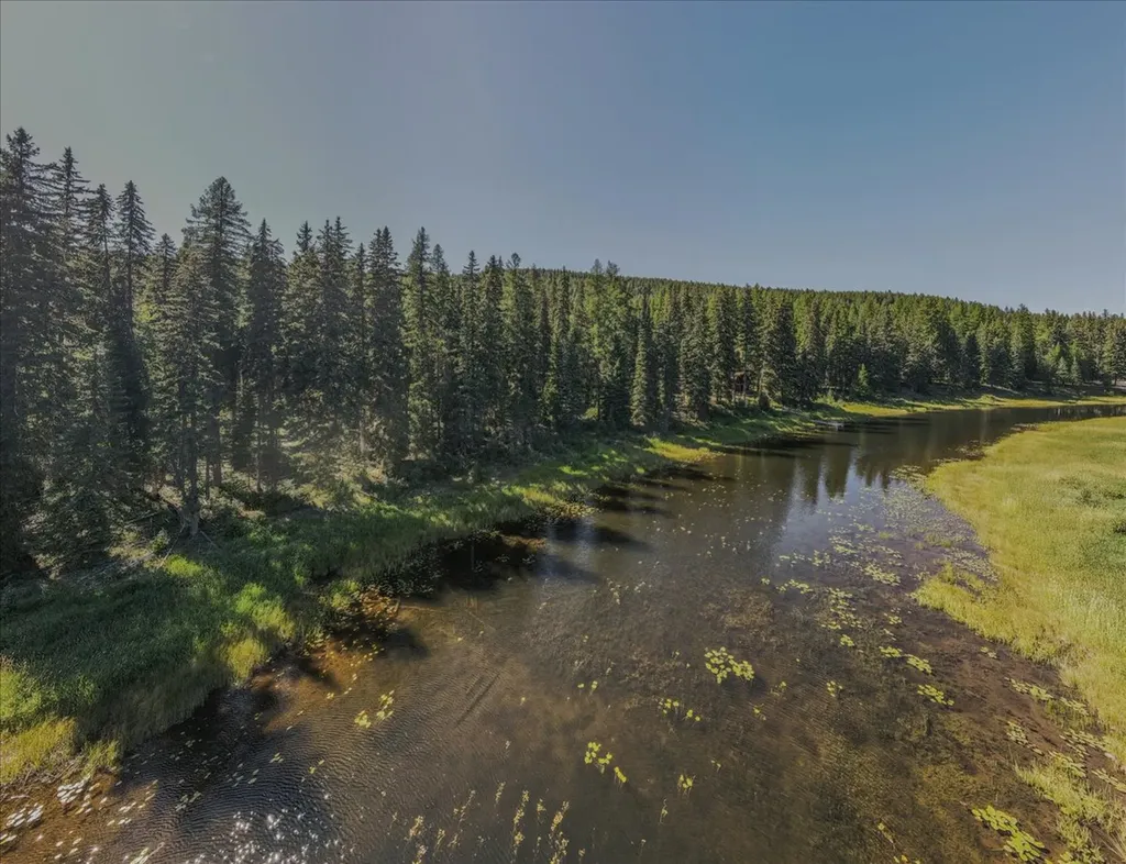 1455 Old Tally Lake Road Whitefish MT 59937