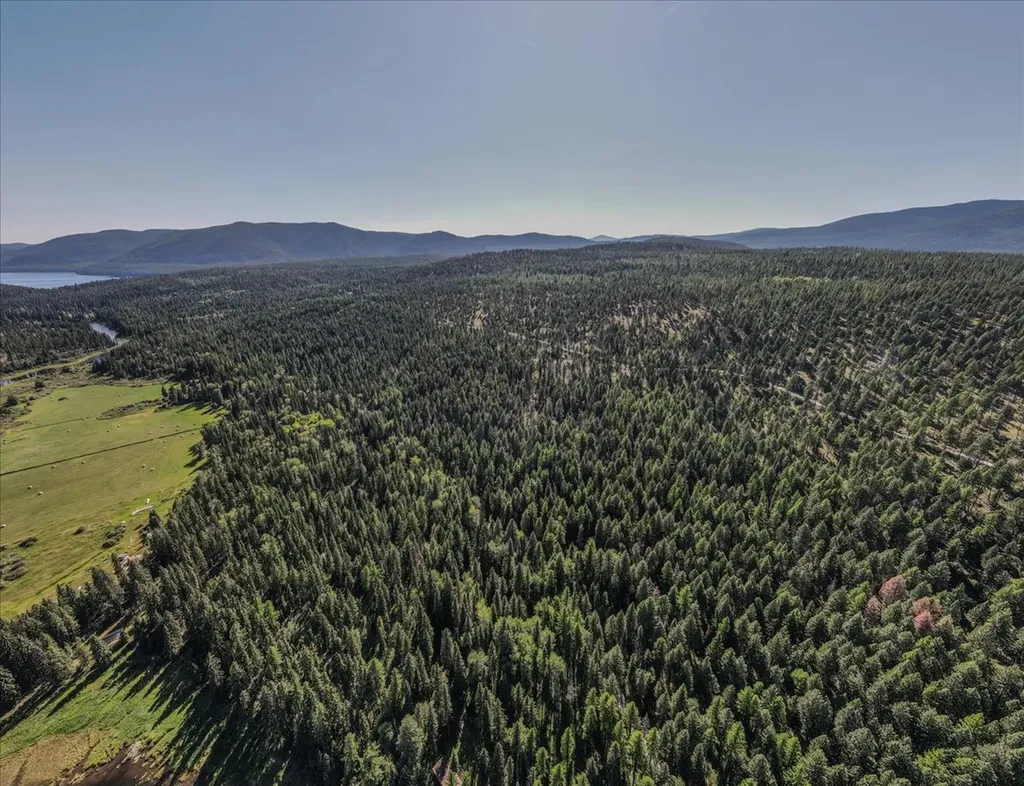 1455 Old Tally Lake Road Whitefish MT 59937