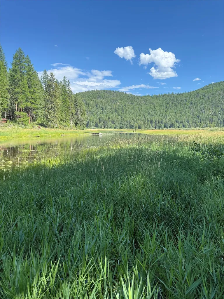 1455 Old Tally Lake Road Whitefish MT 59937