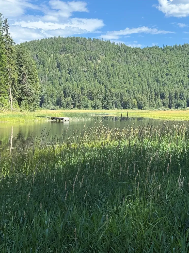 1455 Old Tally Lake Road Whitefish MT 59937