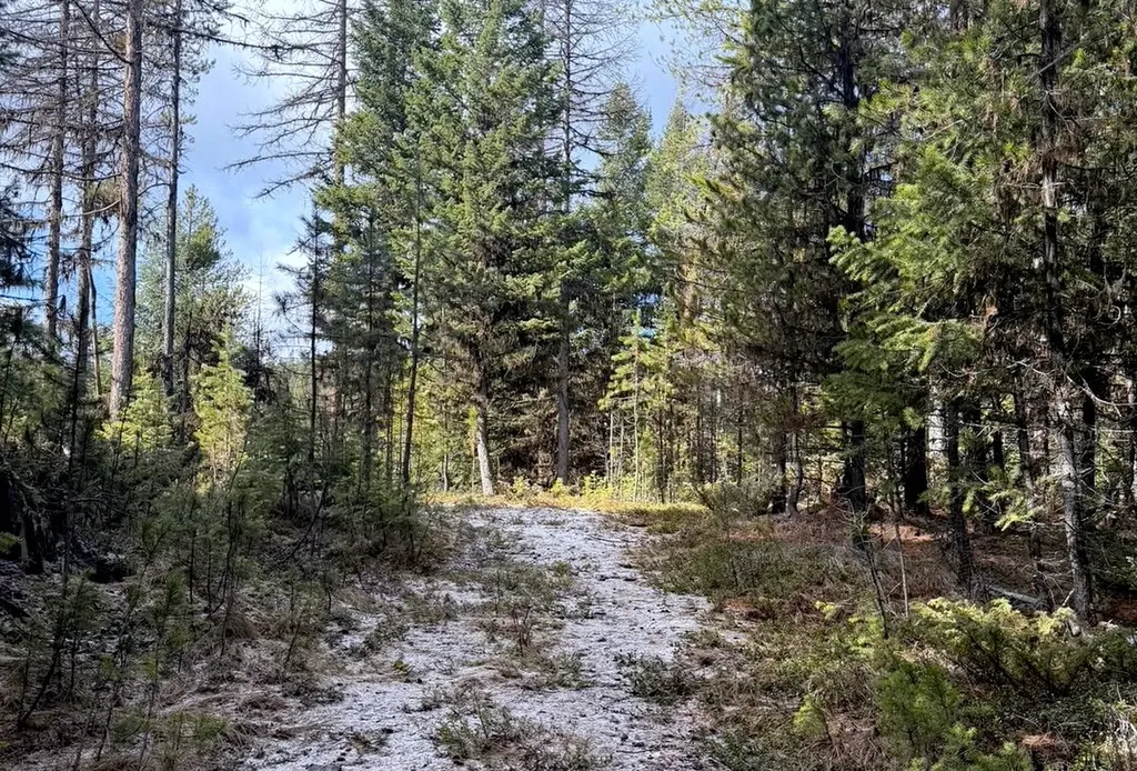950 Lodgepole Drive Marion MT 59925