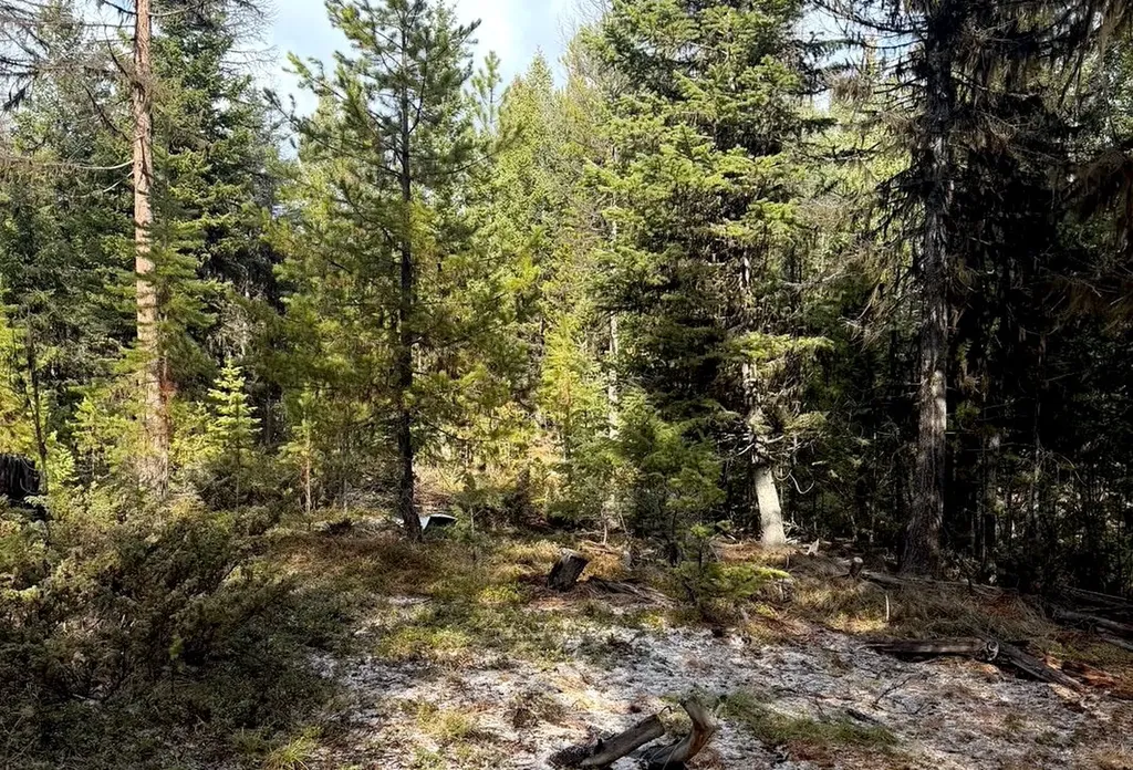 950 Lodgepole Drive Marion MT 59925