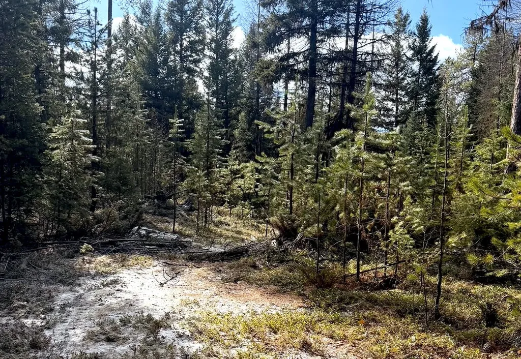 950 Lodgepole Drive Marion MT 59925