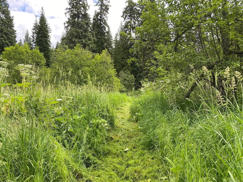 174 Double Creek Lane Troy MT 59935