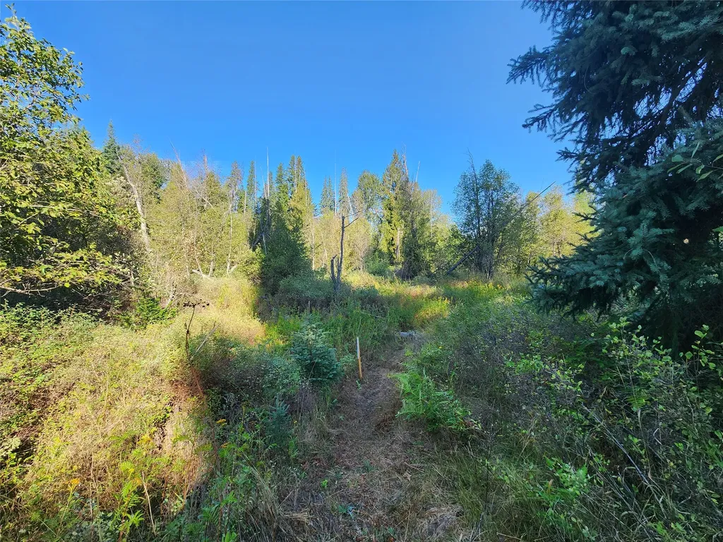 174 Double Creek Lane Troy MT 59935