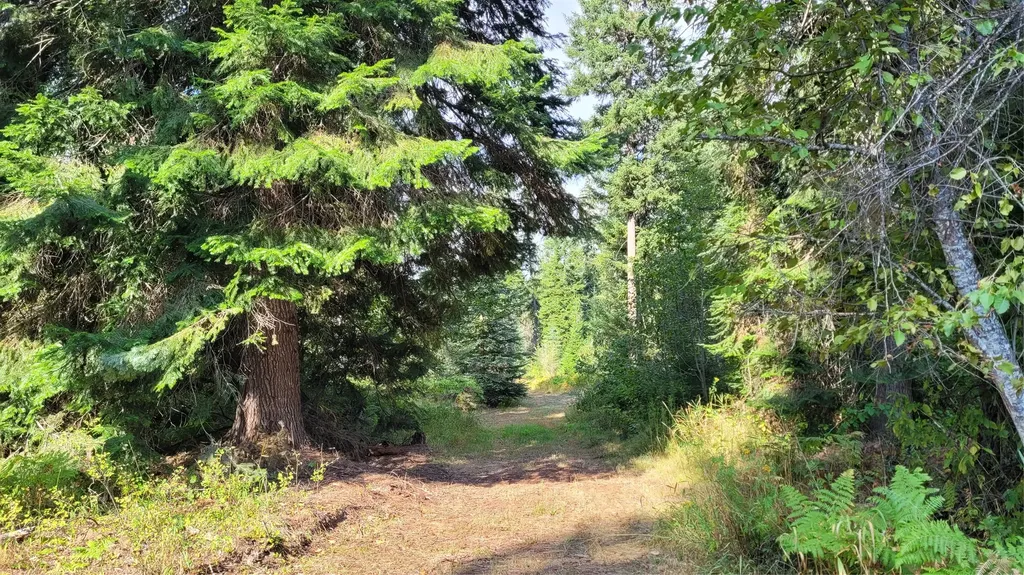 174 Double Creek Lane Troy MT 59935