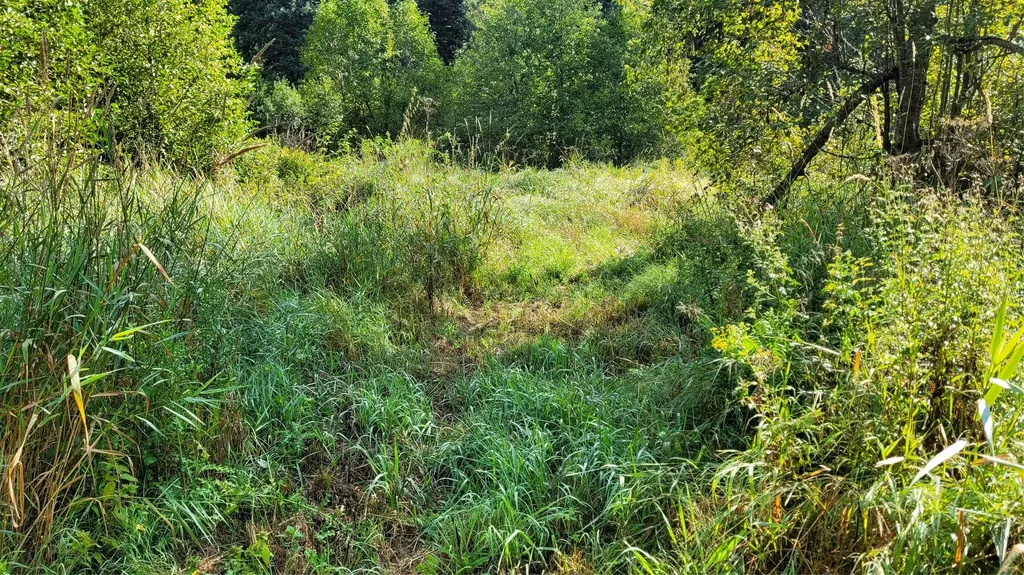 174 Double Creek Lane Troy MT 59935
