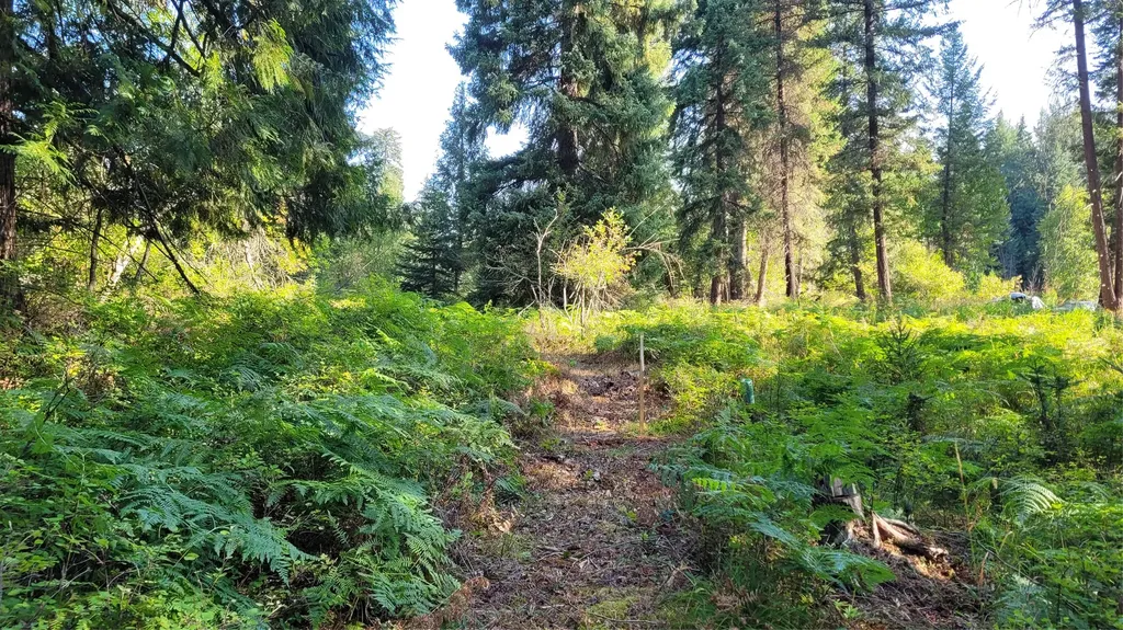 177 Double Creek Lane Troy MT 59935