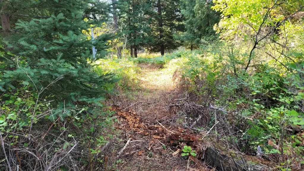 177 Double Creek Lane Troy MT 59935