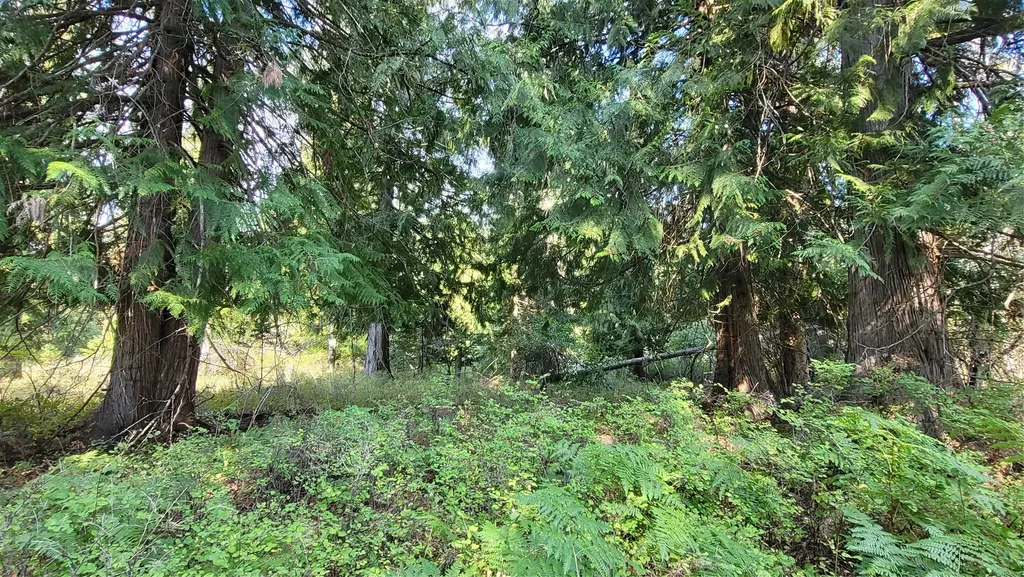 177 Double Creek Lane Troy MT 59935