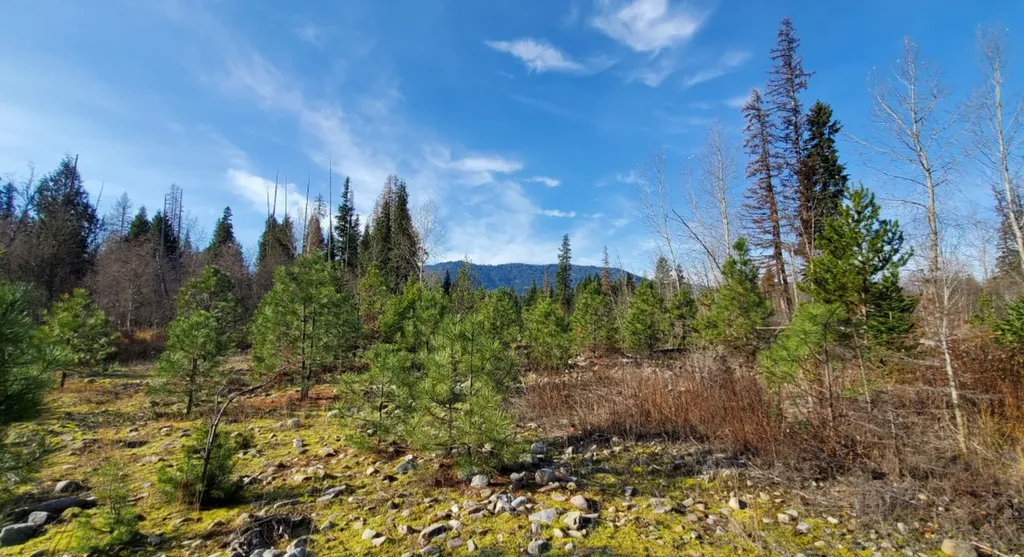 177 Double Creek Lane Troy MT 59935