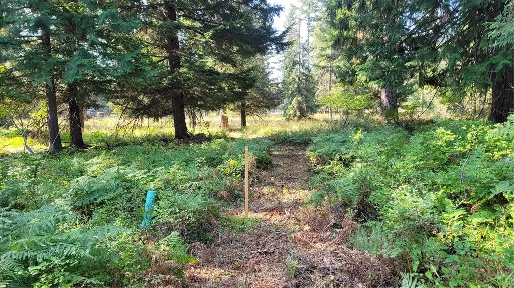 177 Double Creek Lane Troy MT 59935