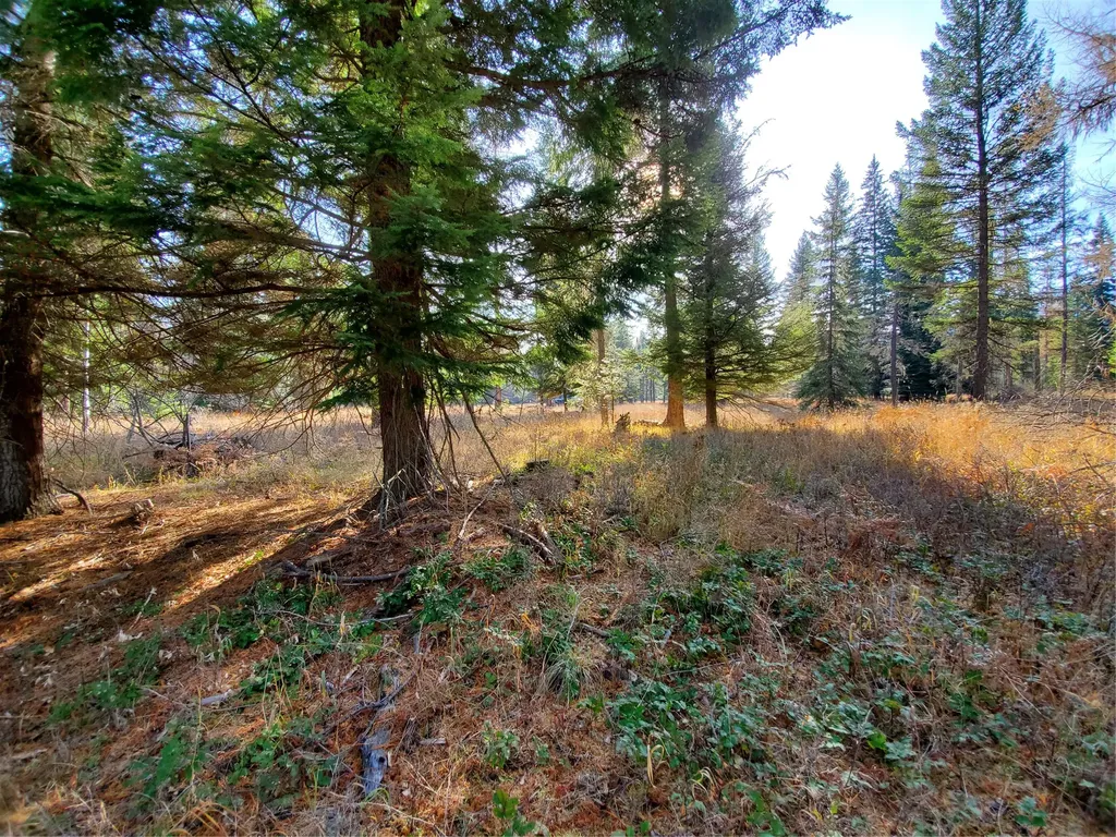 177 Double Creek Lane Troy MT 59935