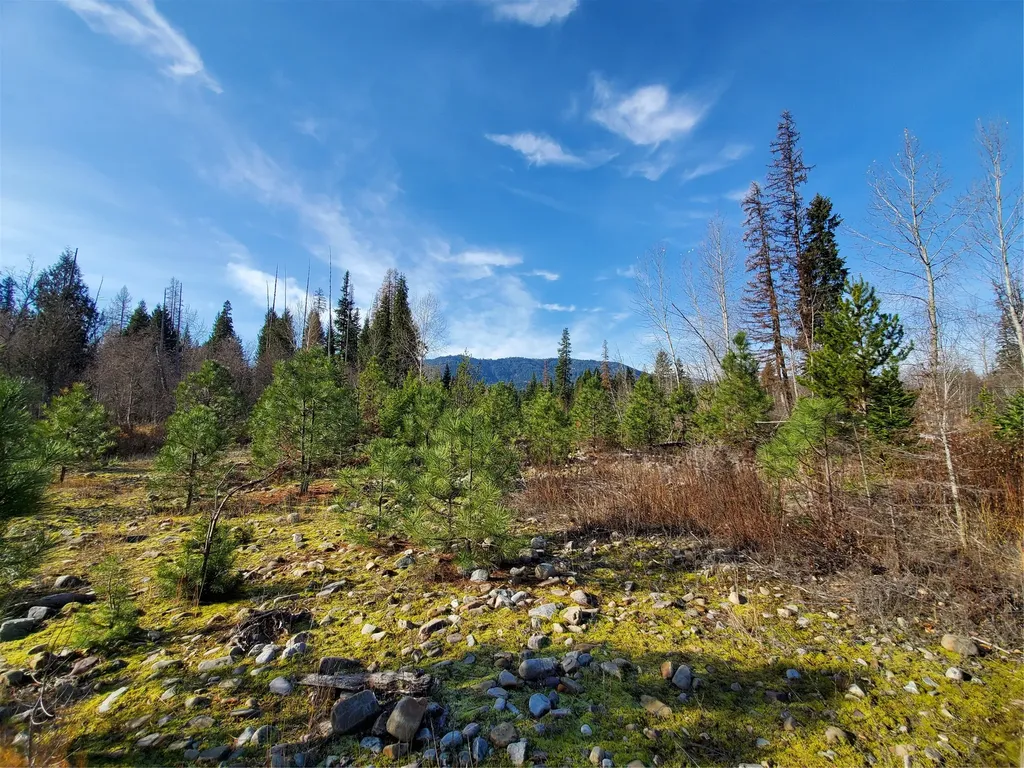177 Double Creek Lane Troy MT 59935