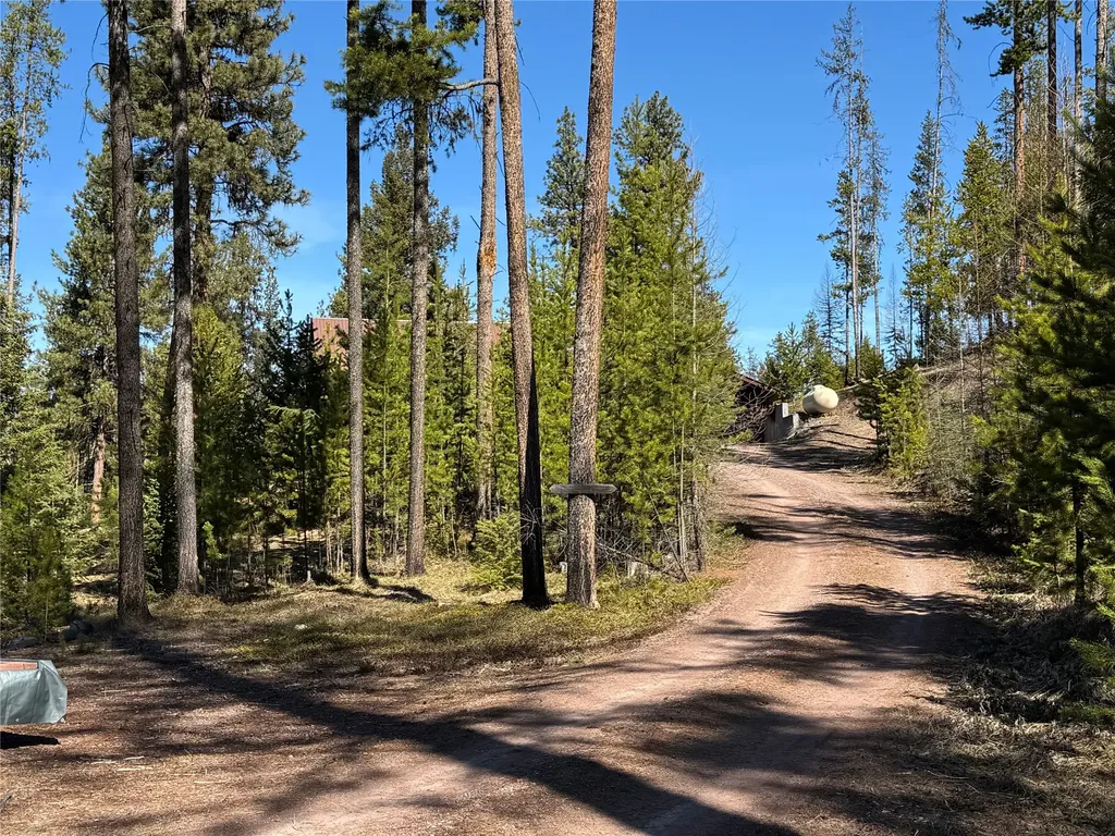 230 W Wagon Wheel Court Seeley Lake MT 59868