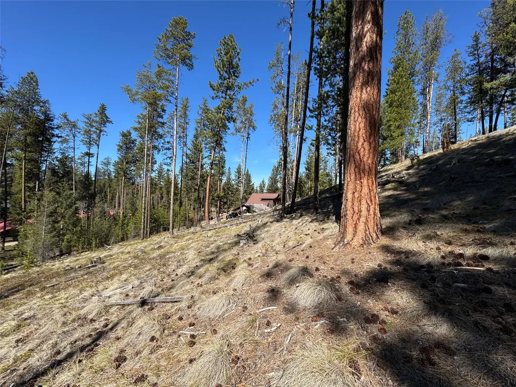 230 W Wagon Wheel Court Seeley Lake MT 59868
