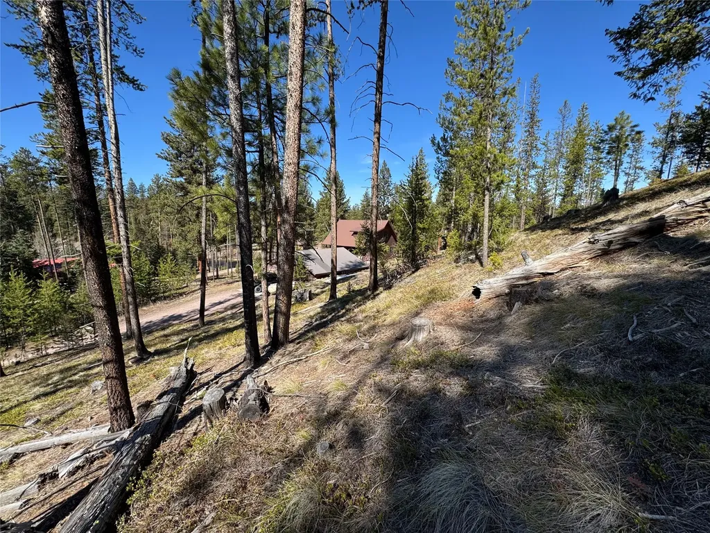 230 W Wagon Wheel Court Seeley Lake MT 59868