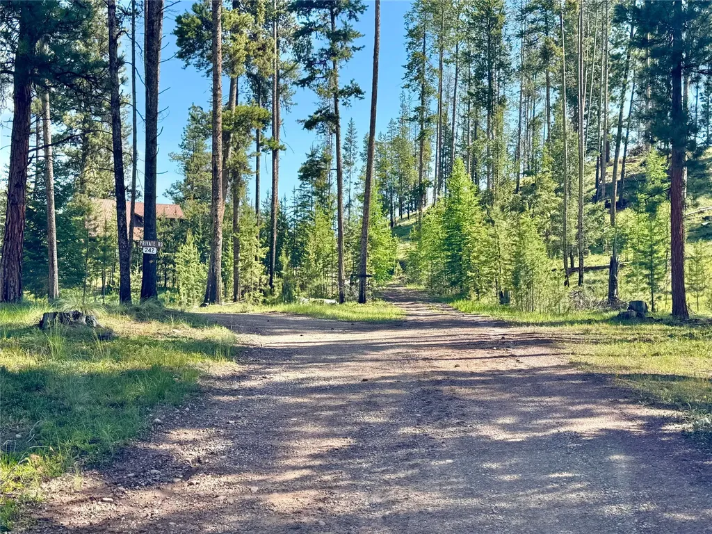 230 W Wagon Wheel Court Seeley Lake MT 59868