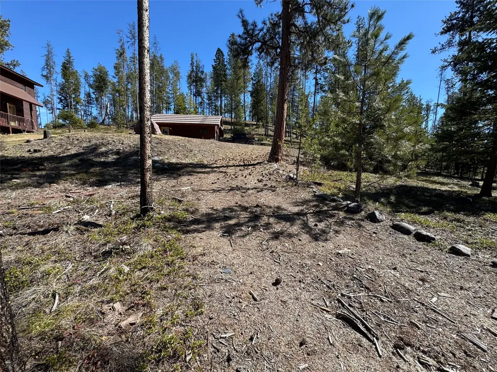 230 W Wagon Wheel Court Seeley Lake MT 59868