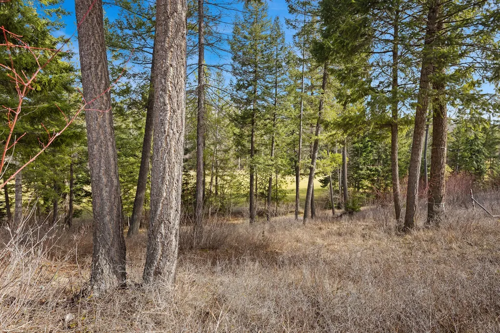 315 Gleneagles Trail Columbia Falls MT 59912