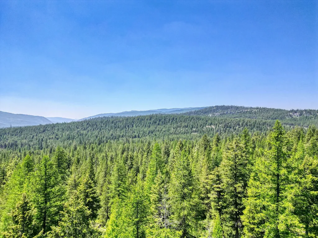 1047 View Ridge Marion MT 59925