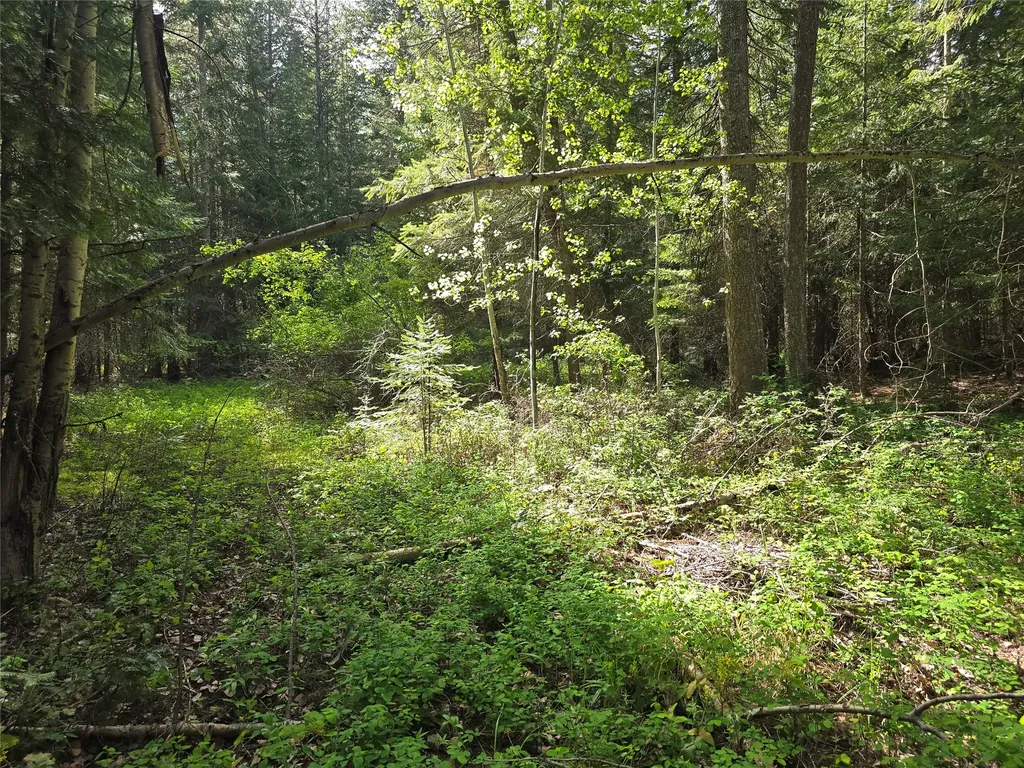 769 Lower Seven Mile Creek Road St Regis MT 59866