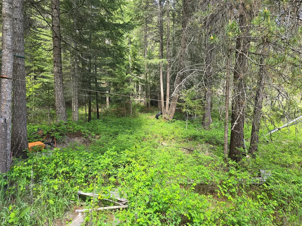 769 Lower Seven Mile Creek Road St Regis MT 59866