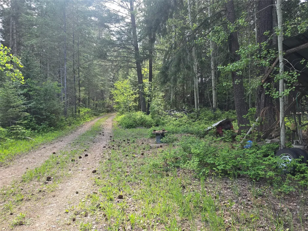 769 Lower Seven Mile Creek Road St Regis MT 59866