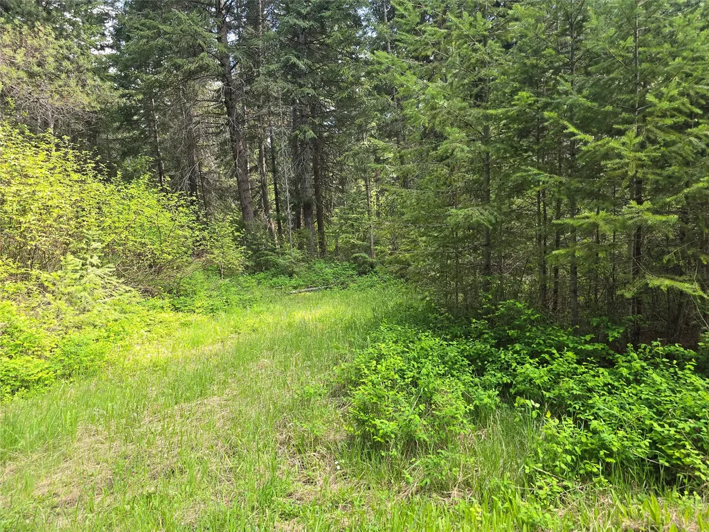 769 Lower Seven Mile Creek Road St Regis MT 59866