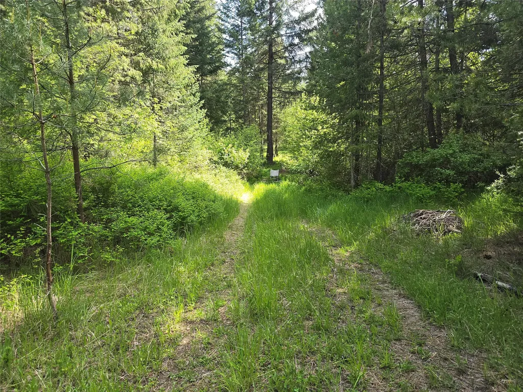 769 Lower Seven Mile Creek Road St Regis MT 59866